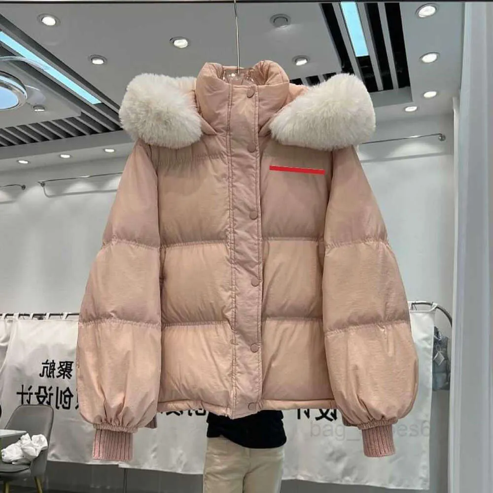 Autumn and winter ladies hooded loose big fur collar down coat, fur collar around the neck to keep warm and not leak, loose version of fashion.