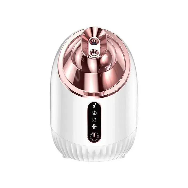 Parowy parowiec 240 ml nano mgły Waporyzator nawilżacz skóry do wilgoci do pielęgnacji skóry Whitenning Beauty Salon Spa Home Appliance 231012