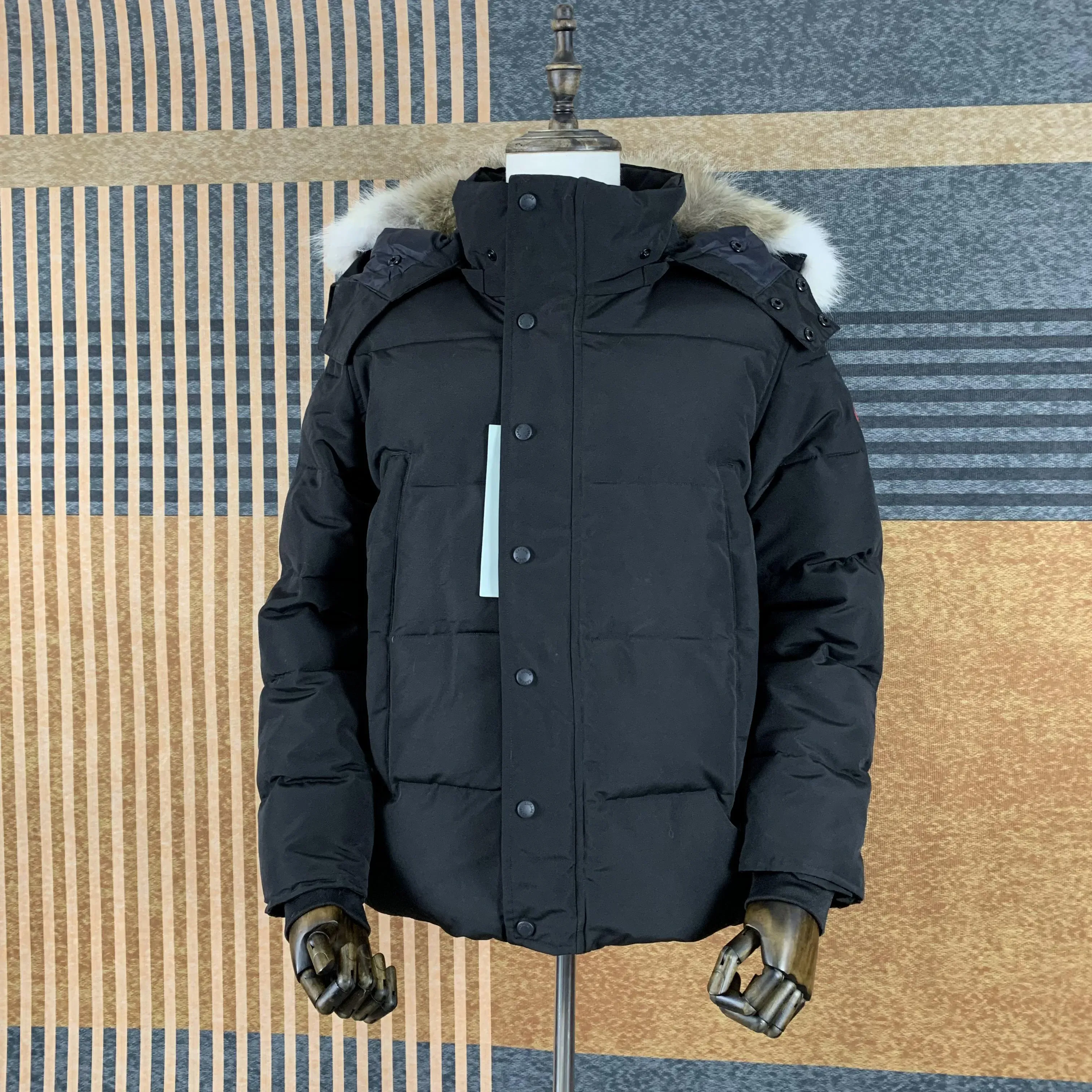 Tasarımcı Kanada Parkas Erkek Ceketleri Kış Pamuklu Kadın Parka Palto Fashiongoose Açık Rüzgar Derbekleri Kalın Sıcak Cyg23101302-20