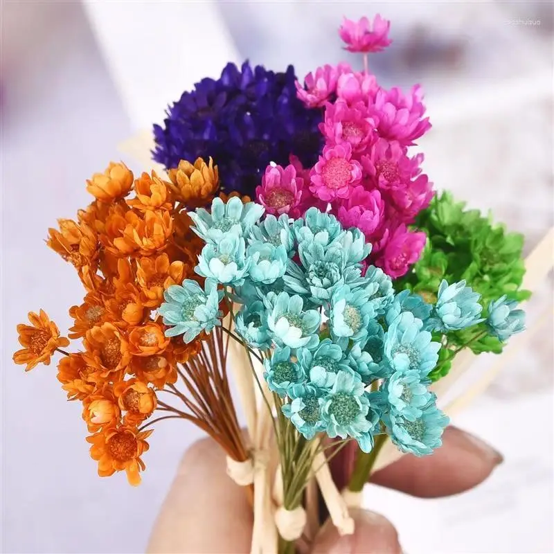 Decorative Flowers 30Pcs Dried UV Resin Filler Mini Brazil Star Chrysanthemum Flower DIY Epoxy Mold Art Craft Jewelry Making Supplies