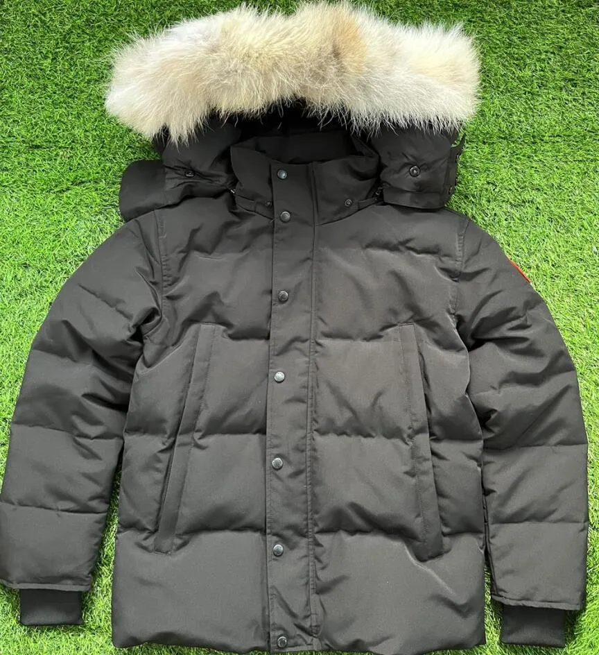 DHgate Wyndham Mens Goose Down Puffer Jacket with Real Coyote Fur Trimmed Hood Apparel