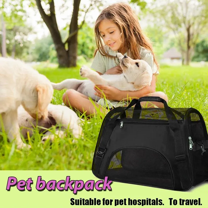 Portadores de gato cão dobrável sacos de transporte macio portátil respirável malha de borracha bagagem durável leve pet outing mochila para viagens