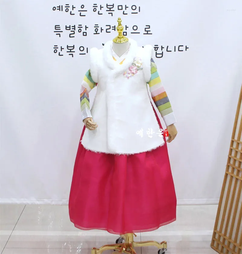 Ethnische Kleidung, Hanbok-Weste, ein Winterstil für Mädchen, importiert aus Südkorea, lange Performance- und Schauspielkleidung