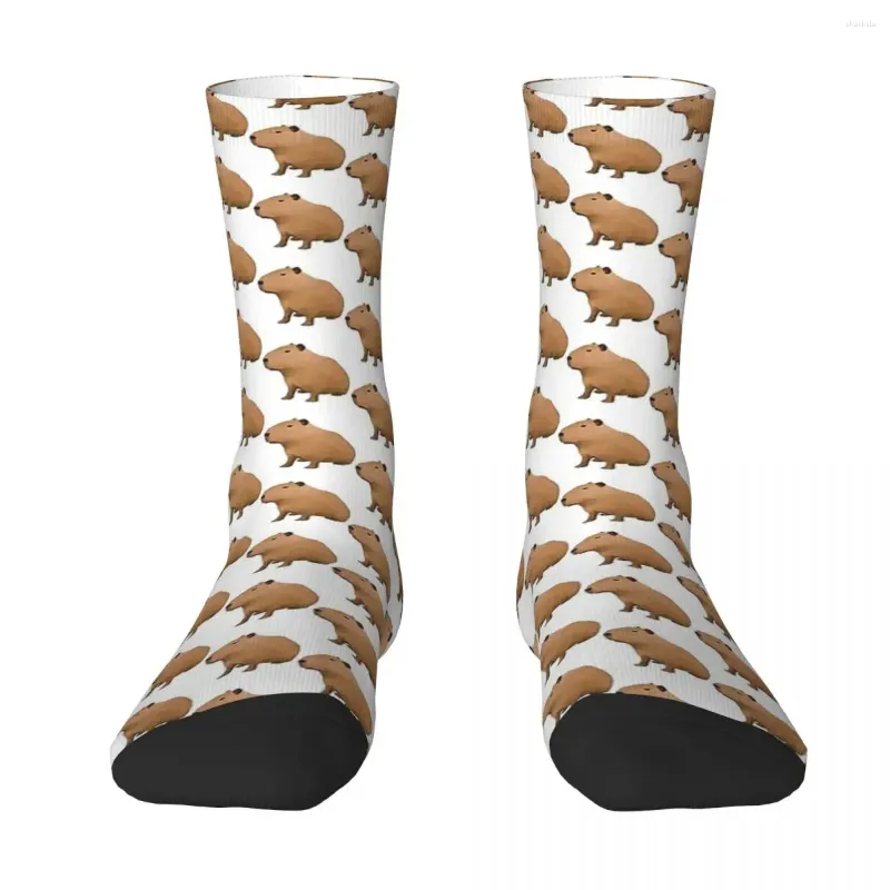 Men's Socks Capybara Polygon Art Men Women Windproof Novelty Spring Summer Autumn Winter Stockings Gift