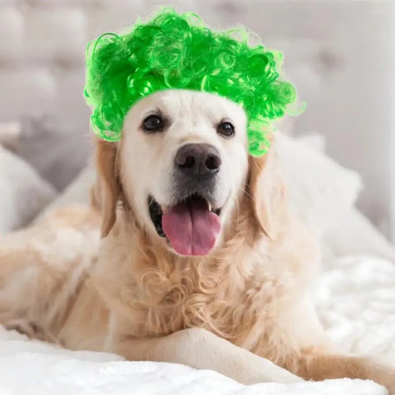 Vestuário para cães Pet Wig para cães divertidos e elegantes coloridos de Halloween festas de Natal festivais de acabamento fino