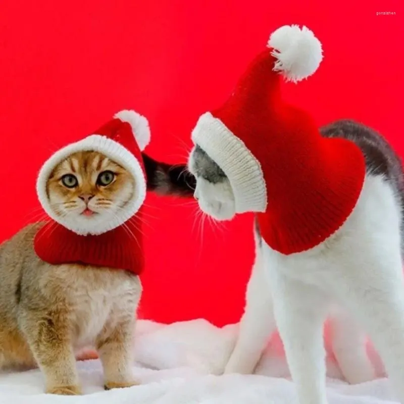Vestuário para cães de malha ano gato lã chapéu animal de estimação macio inverno quente vermelho festa de natal