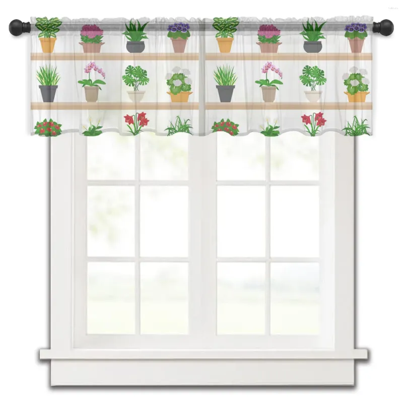 Cortina de planta em vaso com flor de cacto, cortina curta transparente de tule para cozinha, quarto, decoração de casa, cortinas pequenas de voile