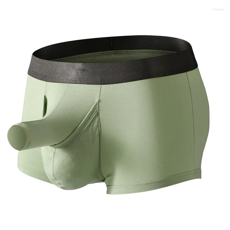 Sous-vêtements Sexy hommes Boxershorts mâle Hombre éléphant renflement culotte boxeurs sous-vêtements longue pochette de pénis tronc fendu