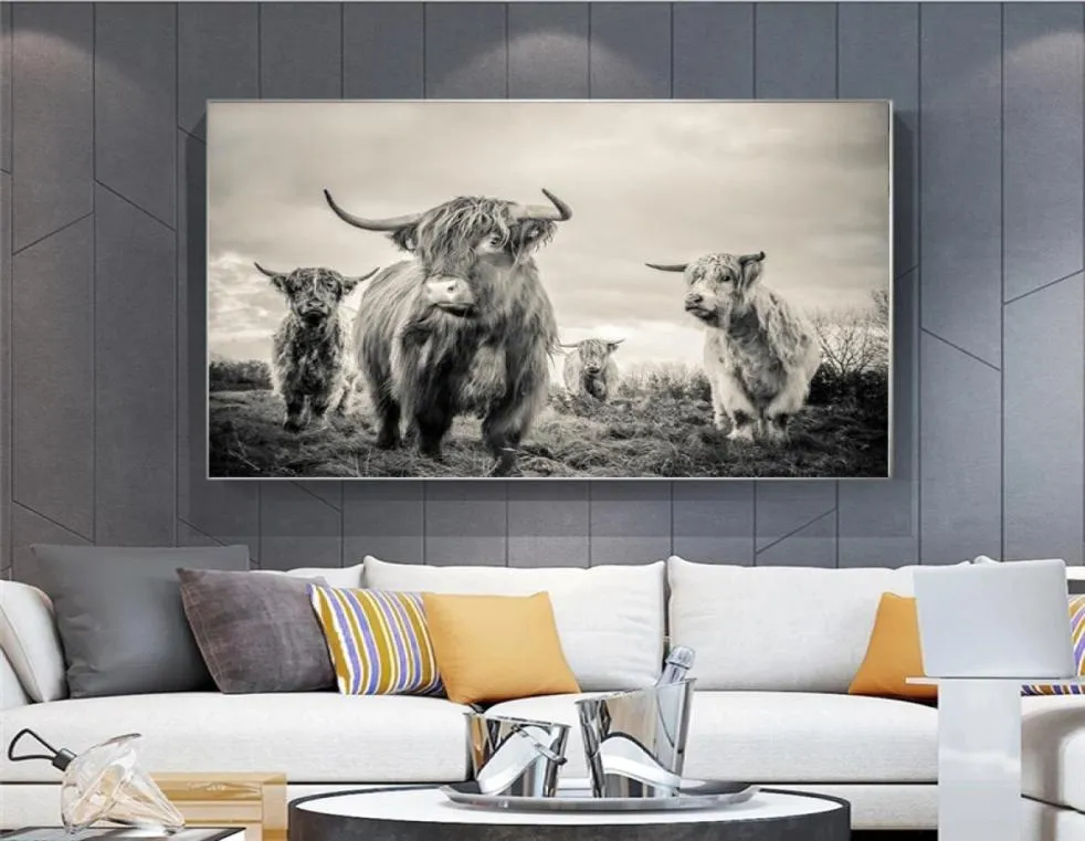 Highland Cow Poster Poster Plakaty Zwierzęta Art Art Plakaty i druki malowanie bydła ścienne Art Art Nordic Decoration Picture do salonu9688665