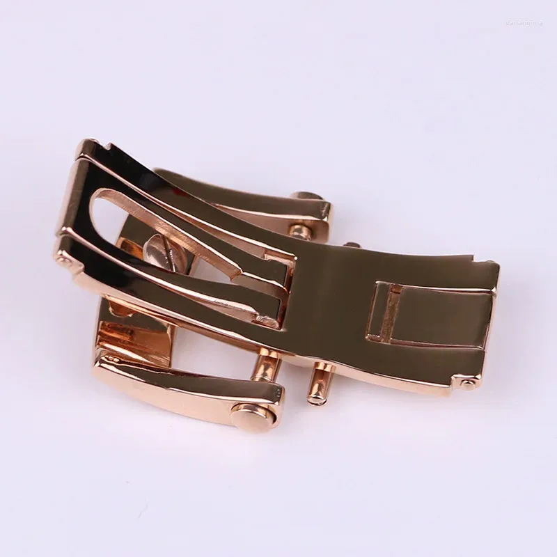Buckles and Clasps - Accessoires