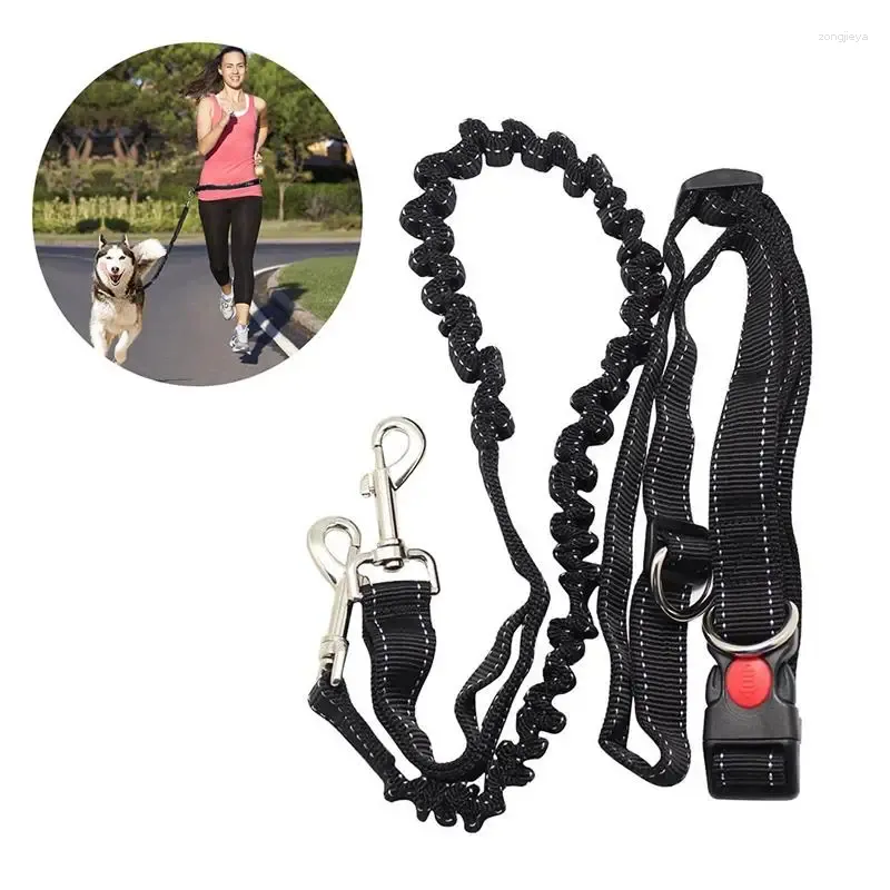 Colliers pour chiens, mains libres, ceinture de taille réglable, parfait pour le Jogging, la randonnée, la laisse, harnais élastique, Canicross