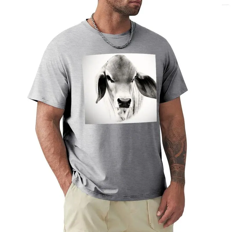 Erkek Polos Brahman Buzağı Portre Duvar Sanat T-Shirt Erkek Beyaz Tişört Grafik Hippi Giysileri Düz Pamuk