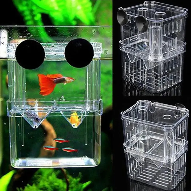 Double Breeding Breeder With Hatchery Splits For Aquariums Pet Mini Aquarium Tank Turtle And Reptile House Decorations Guppy Design 231016 From Factory Kua10 Bulk 10.13 DHgate.Com