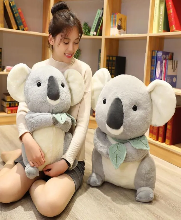 Dessin animé populaire mignon Koala poupée en peluche animal doux en peluche cadeau de Noël animal poilu enfant fille beau cadeau de haute qualité6542736