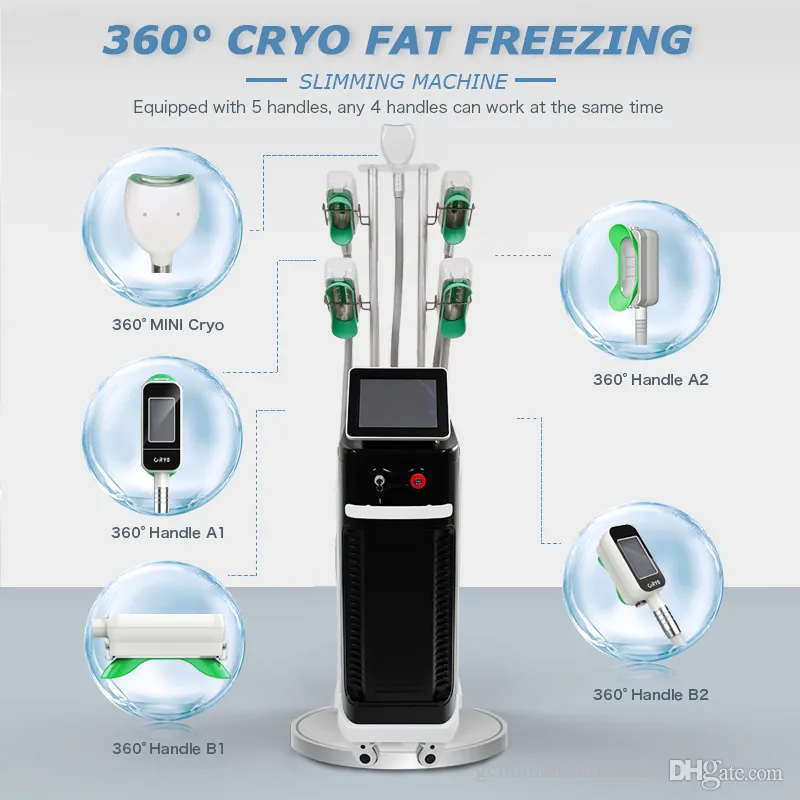 Machine mince de cryolipolyse à angle de 360 degrés, réduction de la cellulite, cryothérapie, perte de graisse, 5 poignées