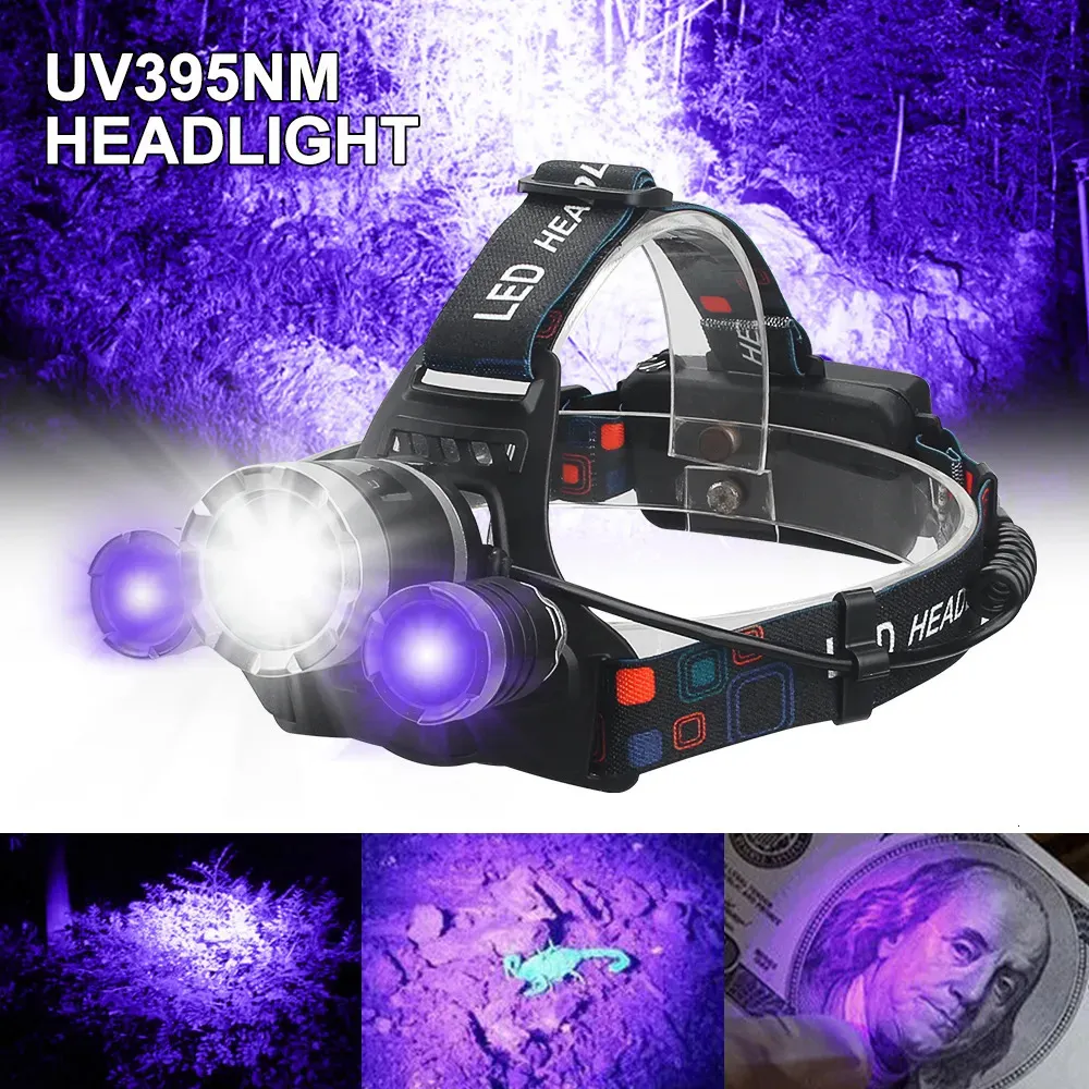 Outdoor Gadgets 3000LM 3LED Headlamp UV 395nm Torch Pet Stains Checker Outdoor Headlight Waterproof USB Head Lamp Green/Red Hunting Lantern 231018