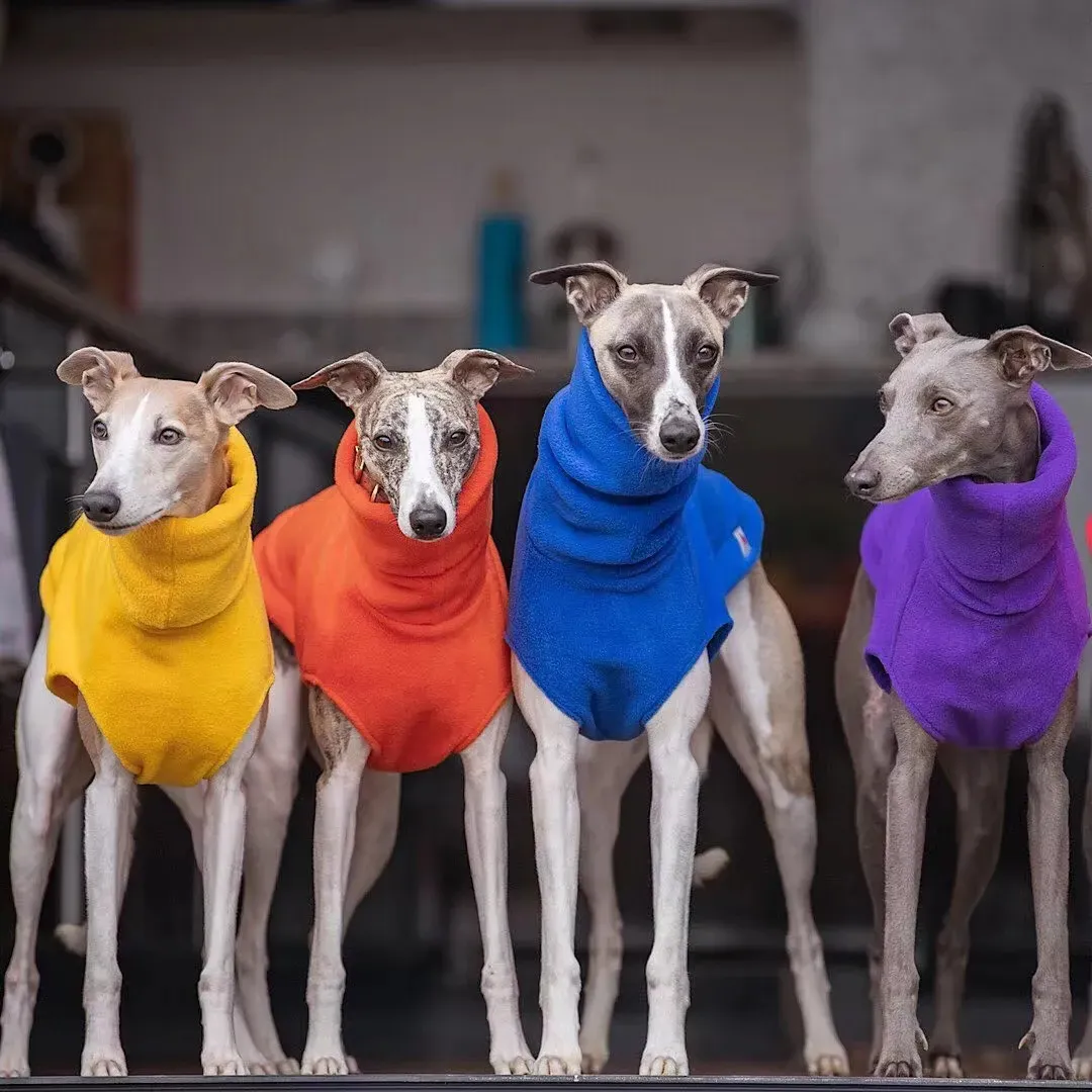 Whippet vest cheap