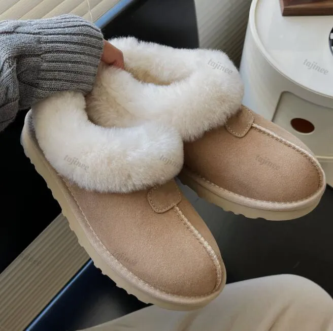مصممة نساء تسمان Slippers Australia Winter Tazz Boots Soft Sefet Sheepes Chestnut Chostnut Seed Seed Black Mini Wool Boot