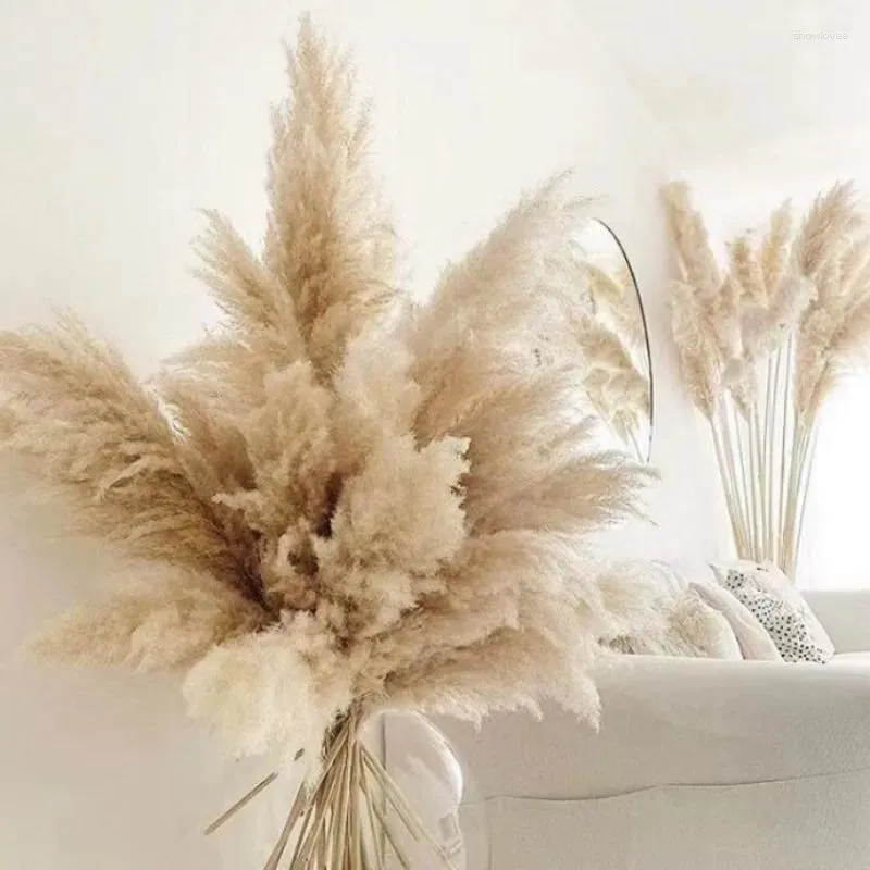 Decorative Flowers 6PCS Large Size Natural Pampas Grass Dried Flower Bouquet Home Decor Tall Fluffy Stems Living Room Wedding Backdrop