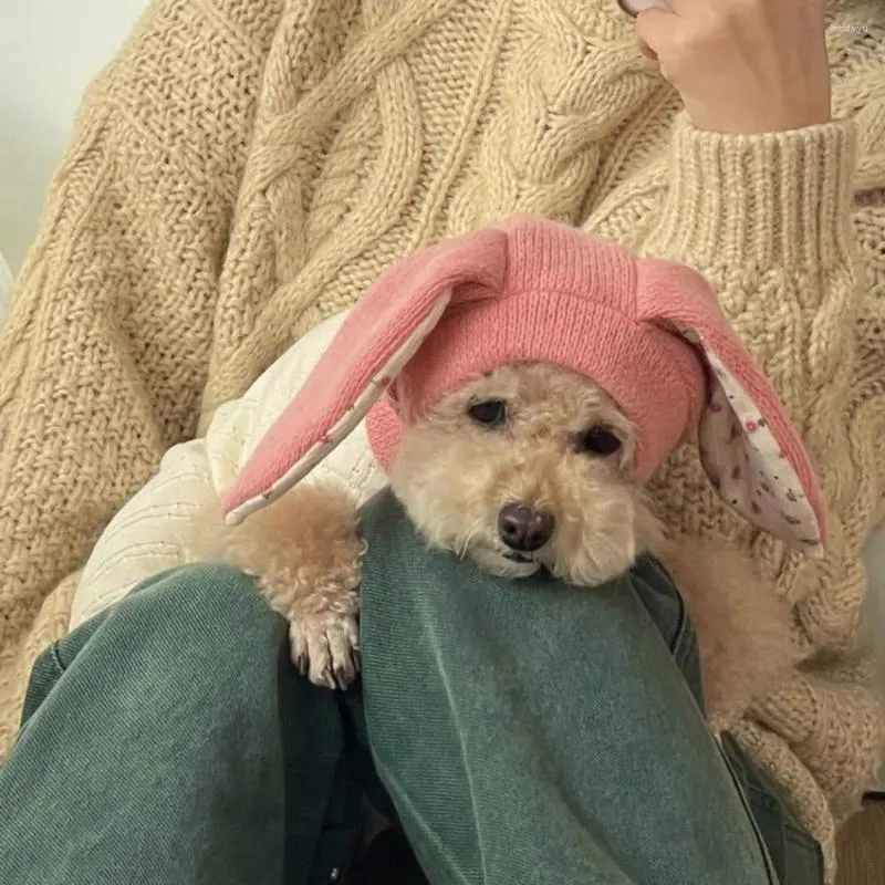 Hundkläder sticker ut husdjur hatt mysig stickad med öron håller varm höstvinter denna prydnad för katter husdjur