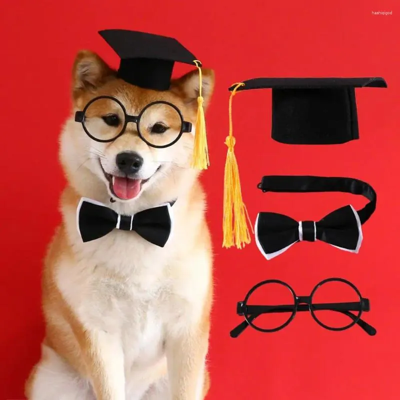 Hundkläder 1 Set Soft Touch Creative Decorative Pet Cats Dogs Cosplay Hat Collar Glasse Graduation Suit Accessories