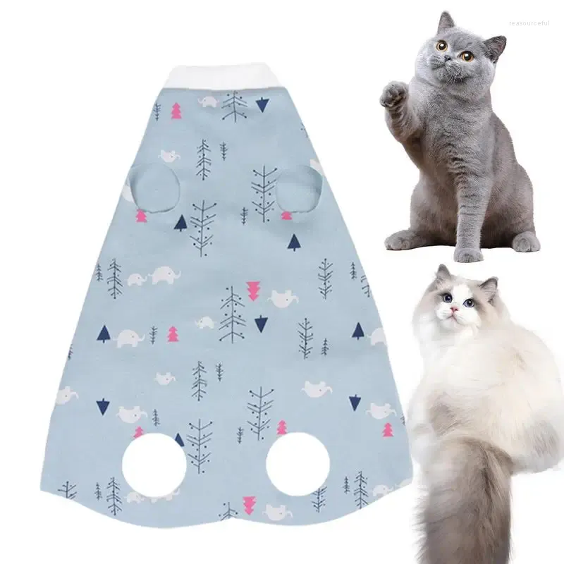 Trajes de gato gatinho recuperação terno pijama luz absorção de umidade e-collar alternativa spay para doenças de pele