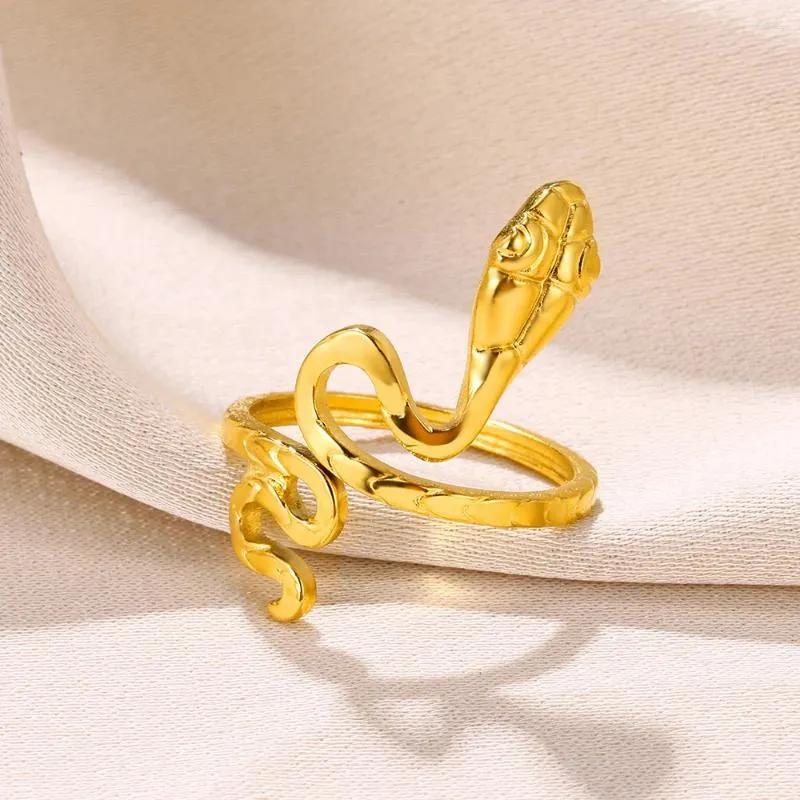 Pierścionki klastra wąż ze stali nierdzewnej dla kobiet mężczyzn vintage punk fortune biżuteria