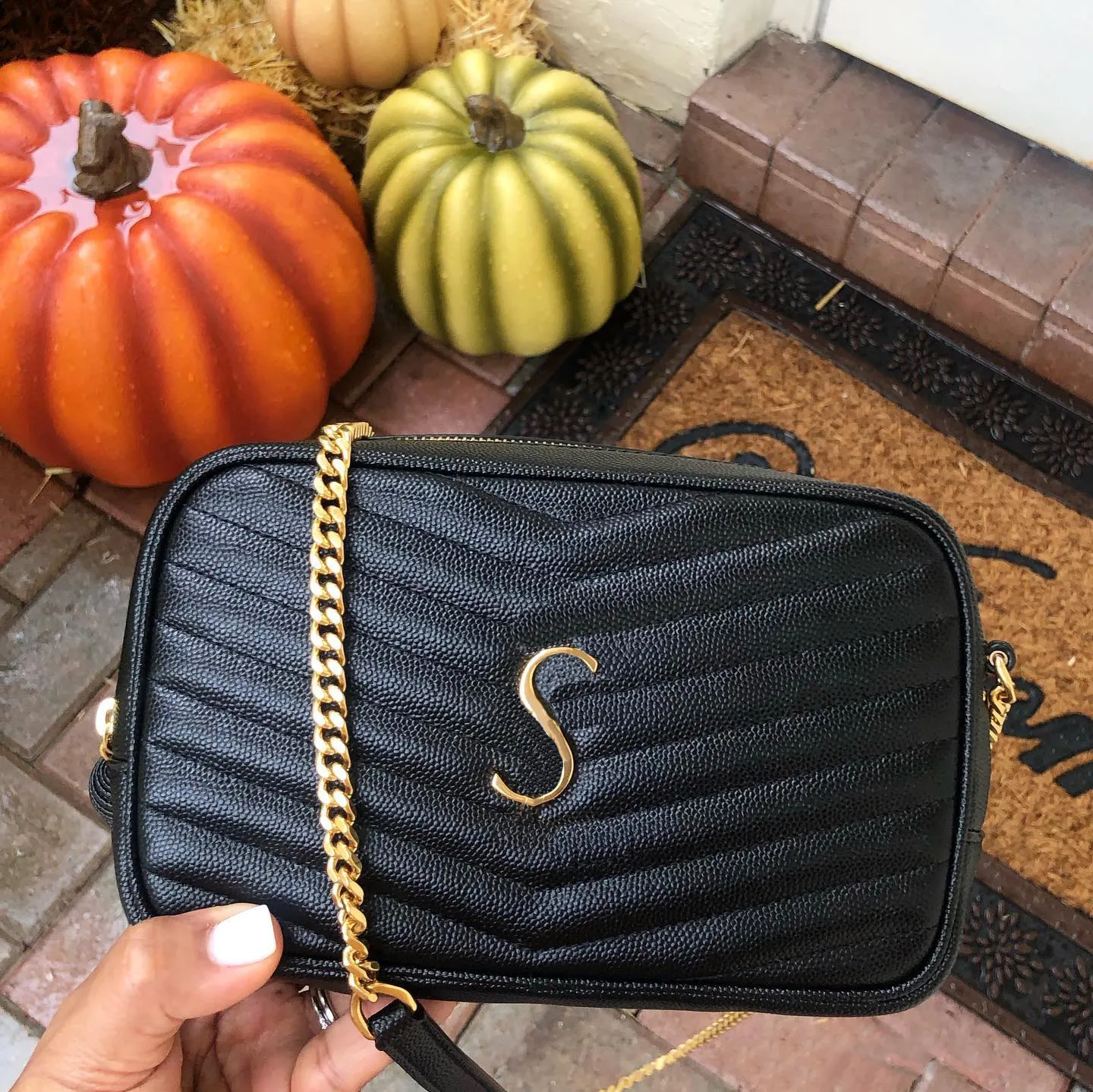 Camera Tassels Women LOU Luxury Designer Genuine Leather Chain Quilted