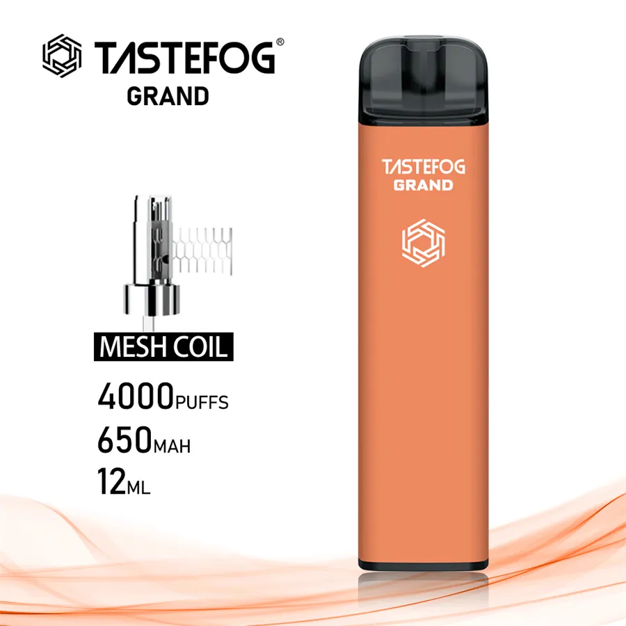 İyi tat lezzetleri tek kullanımlık vape 4000puffs tastefog grand 12ml 650mAh şarj edilebilir pil 10 lezzet stokta