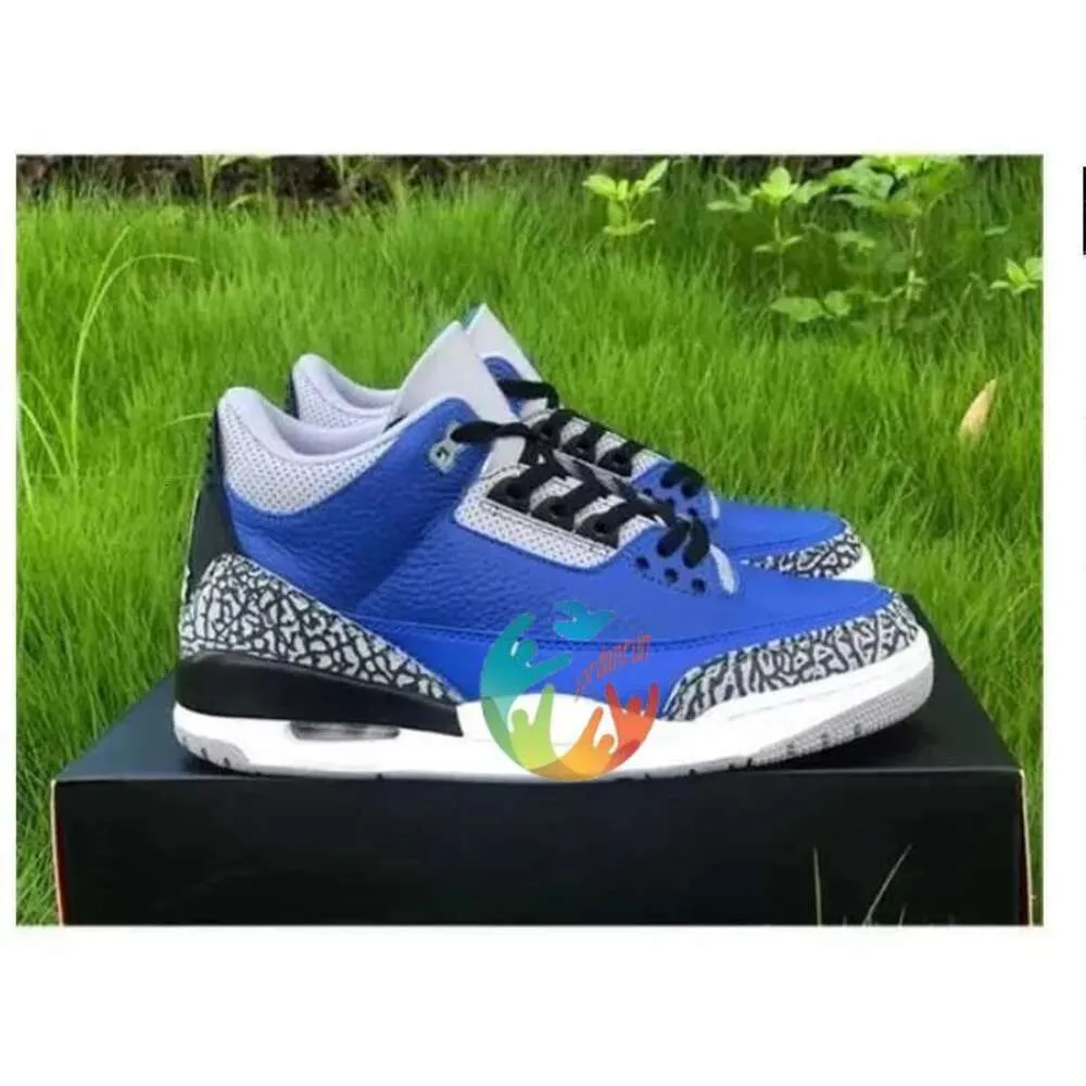 varsity royal blue 3s