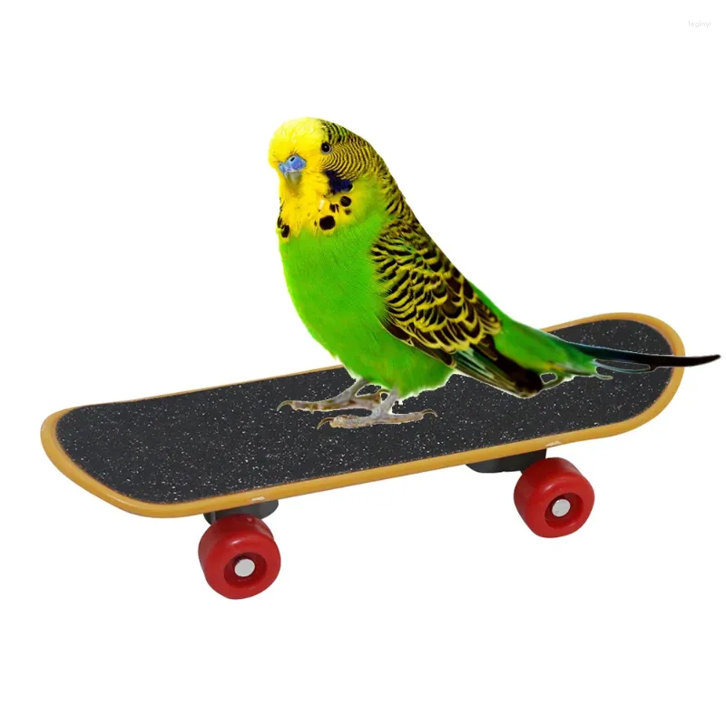 Other Bird Supplies Toys Funny Mini Skateboard Parrot Toy Training Budgies Parakeet Growth Pajaros Intelligence Accessories