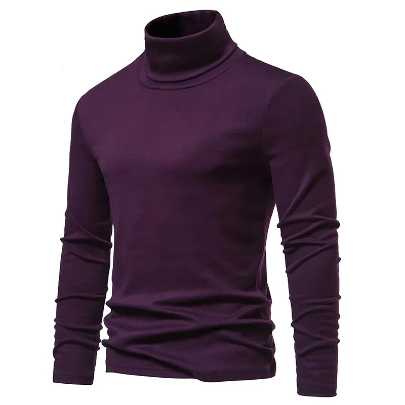 Mens lavender shop turtleneck