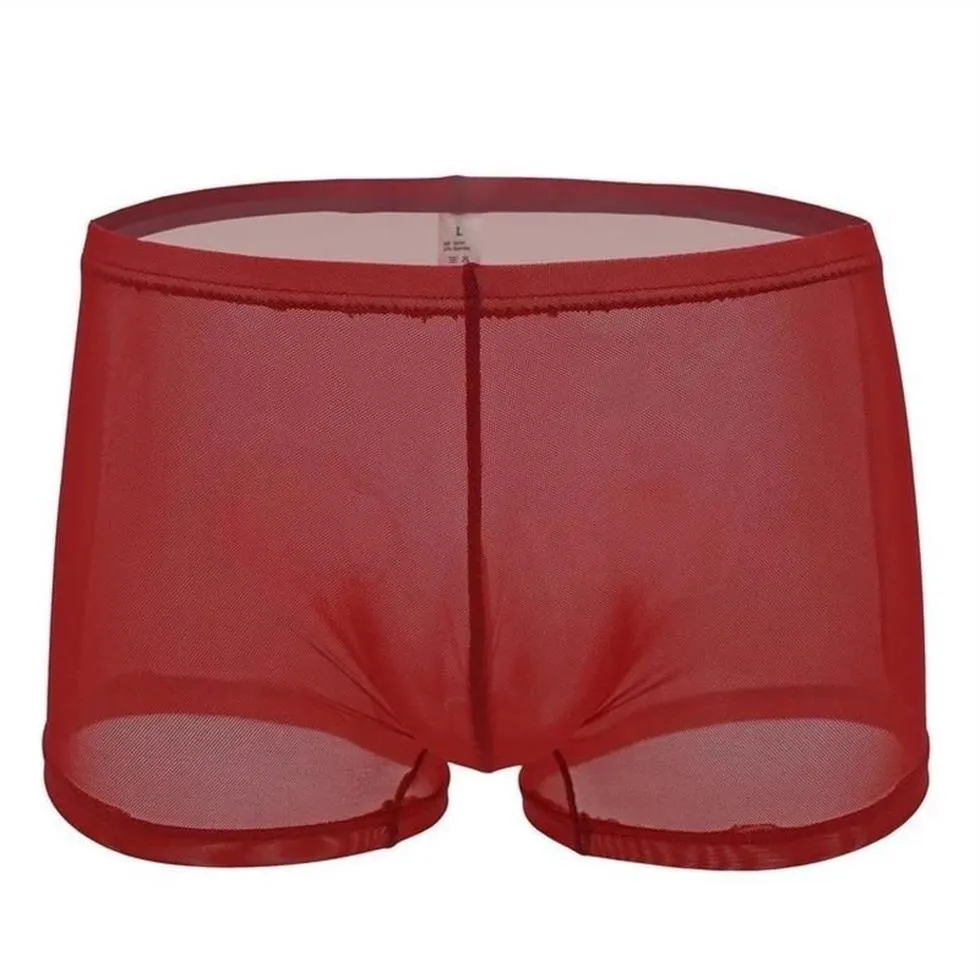 Boxers transparentes best sale