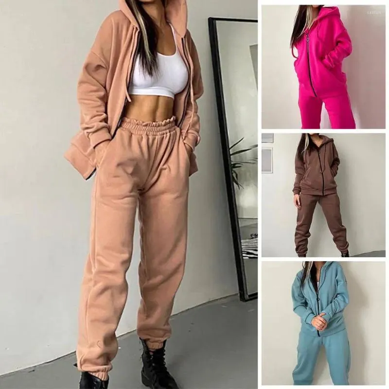 Pantalon de deux pièces pour femmes 2 pcs / ensemble femmes manteau ensemble lâche capuche couleur unie manches longues cardigan garder au chaud décontracté taille élastique survêtement