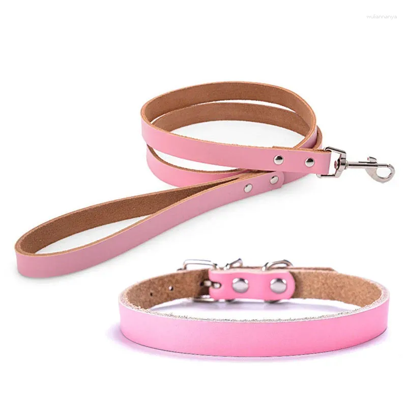 Colliers pour chiens en cuir véritable, laisse et réglable pour animaux de compagnie, doux, marche réelle, pour petites, moyennes et grandes races