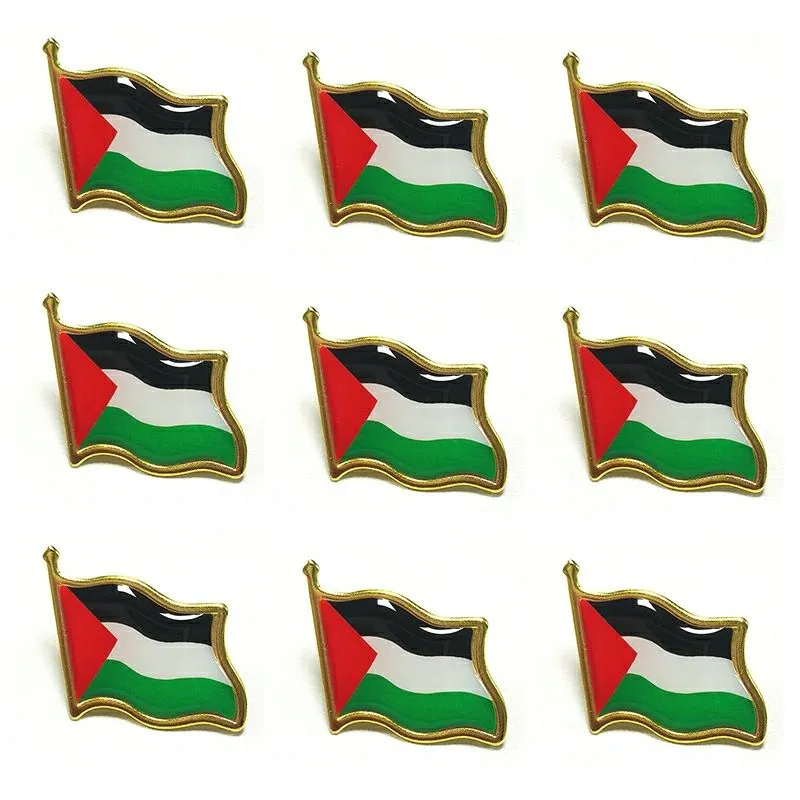 50pcs palestyna pinowa broszka krajowa Palestyna National Emblem Flag Badge Pinki klapowe metalowe broszki odznaki dekoracje