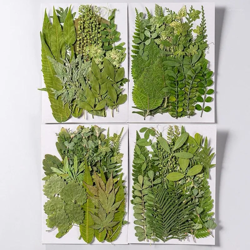 Decorative Flowers 35pcs/bag Wholesale Dried Genuine Leaf Plant Specimens DIY Po Stickers Face Makeup Handmade Adhesive Drops Bookmarks