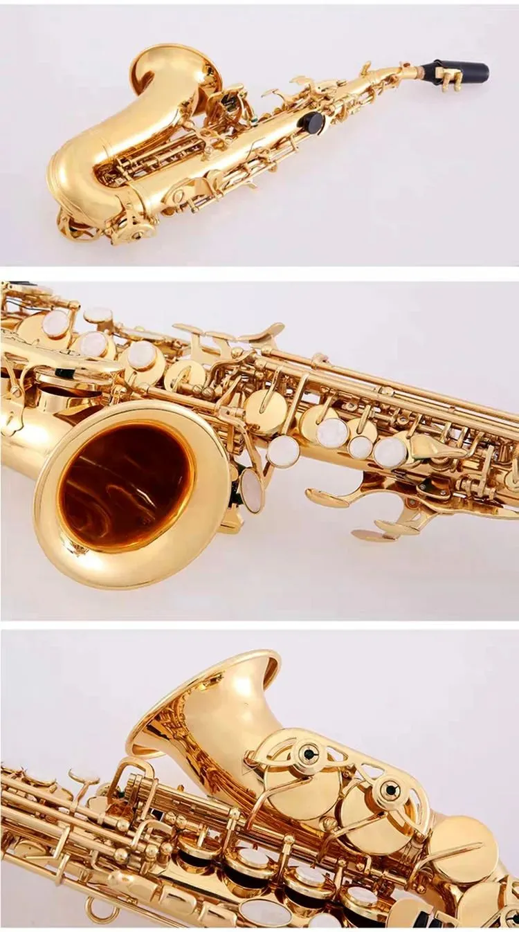 Saxofón soprano curvo profesional con llave B dorada, botón de carcasa chapada en Latón dorado, instrumento de tono de grado profesional