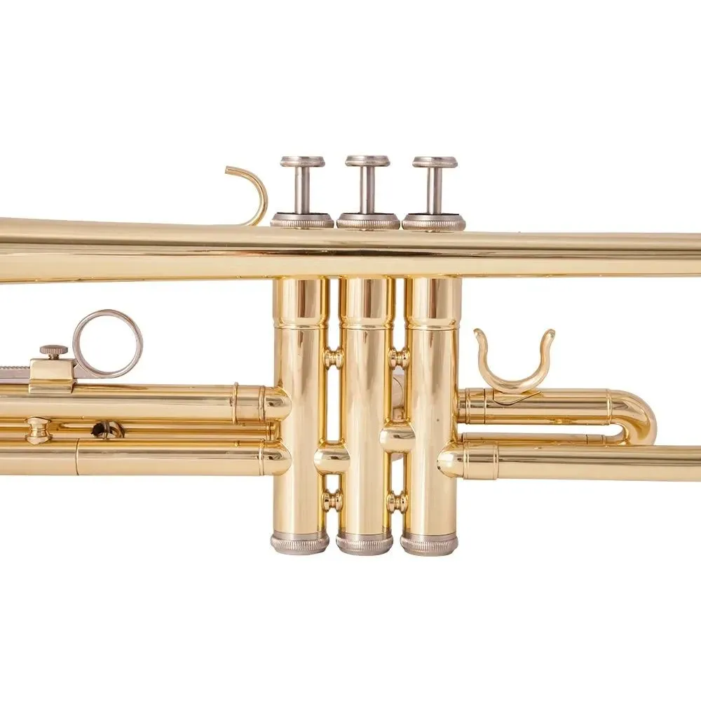 Tromba professionale americana Tromba B-tune in ottone placcato oro a tre toni principianti suonare strumenti banda d'esame