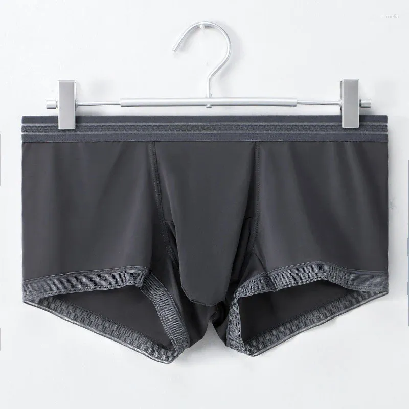 Underpants 1 PC Quick Dry Ice Silk Lingerie Boxer Briefs Bolsa Calcinhas Shorts Homens Ultra-fino Grande Espaço Transparente