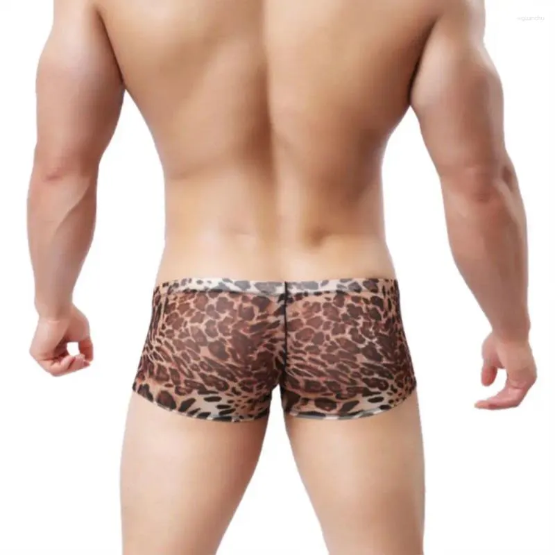 Sous-vêtements Hommes Sexy Léopard Imprimé Pantalon Uni Boxer Shorts M L XL Coin Plat Quatre