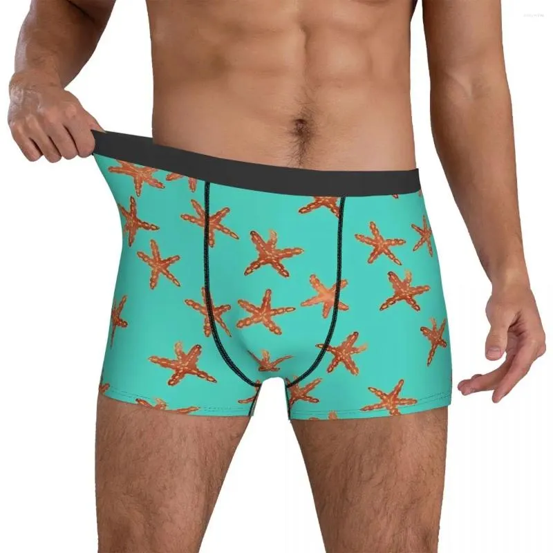 Unterhose, Aqua-Seestern-Unterwäsche, niedliches Tier-Männchen-Höschen-Muster, bequeme Boxershorts, kurze große Größe