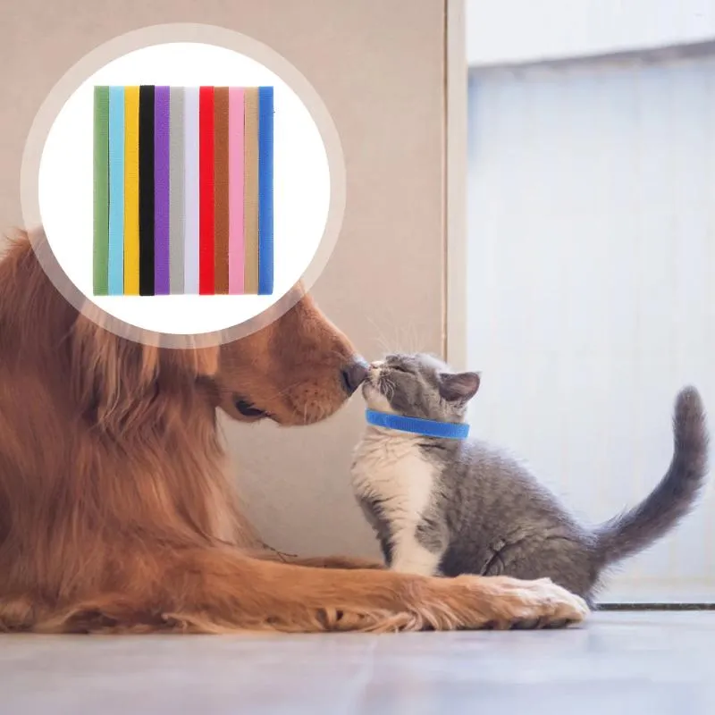 Halsbanden ID Puppy-identificatie Nylon Verstelbare Breakaway Whelping Nest voor geboren honden Katten (12 kleuren)