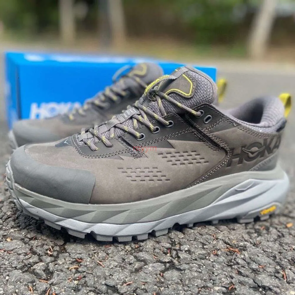 Hoka waterproof top running shoes