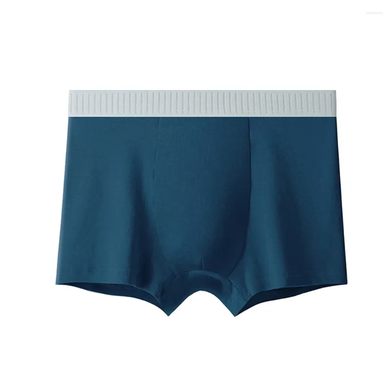 Mutande Intimo da uomo Boxer Slip morbidi senza cuciture Sospensorio Bugle Pouch Pantaloncini elasticizzati Tronco Lingerie casual traspirante