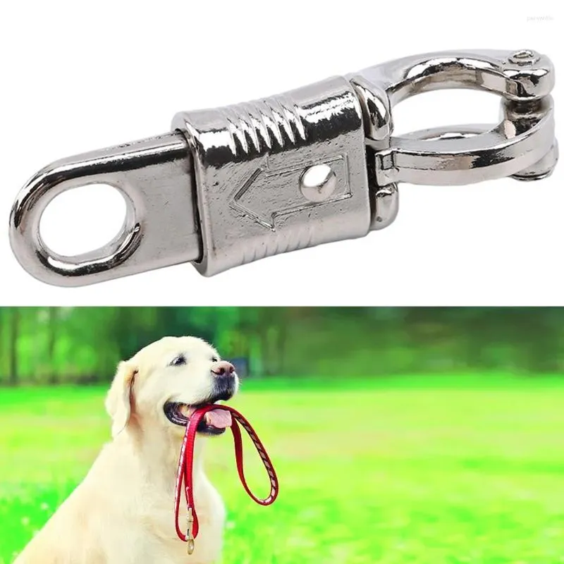 Coleiras de cachorro pacote 100 mm cavalo gancho resistente forte e confiável escolha moda grande vaca pequena fivela primavera