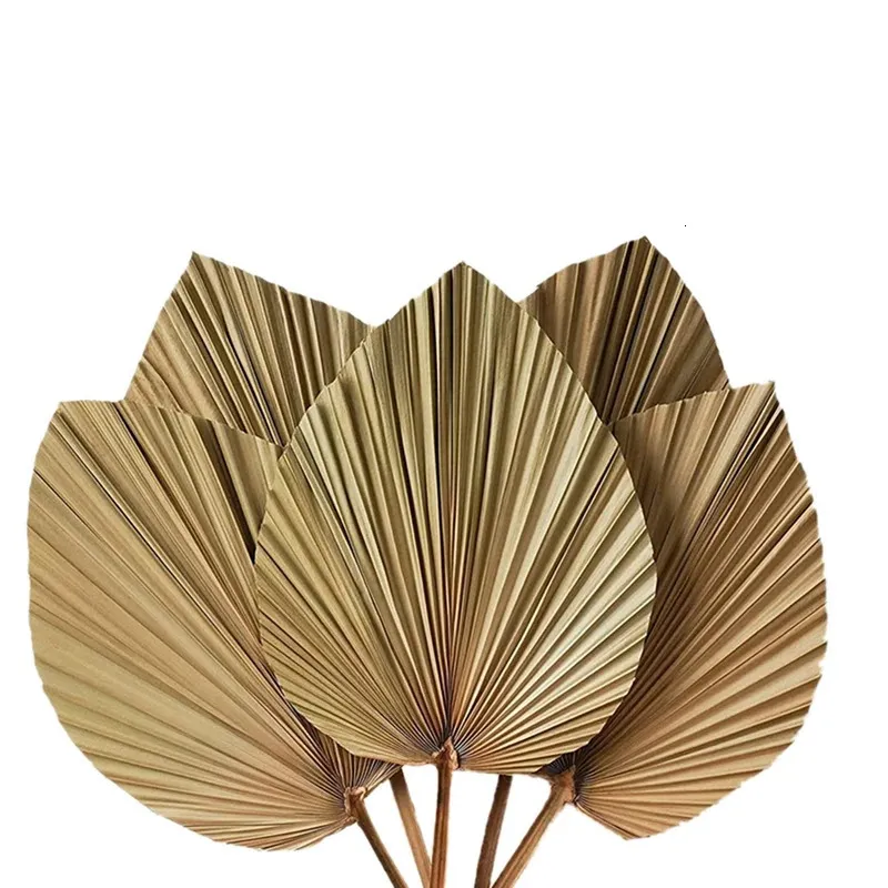 Garden Decorations Dried Palm Leaves Room Decor 5 Pieces - 18Inch H X 10Inch W Large Natural Palm Leaf Decor For A Beautiful Boho Look 231023