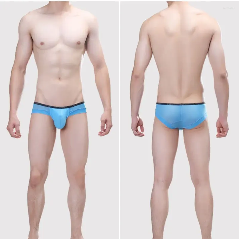 Sous-vêtements pour hommes, slips U convexes en coton, Sexy, Transparent, maille creuse, sous-vêtements respirants pour hommes