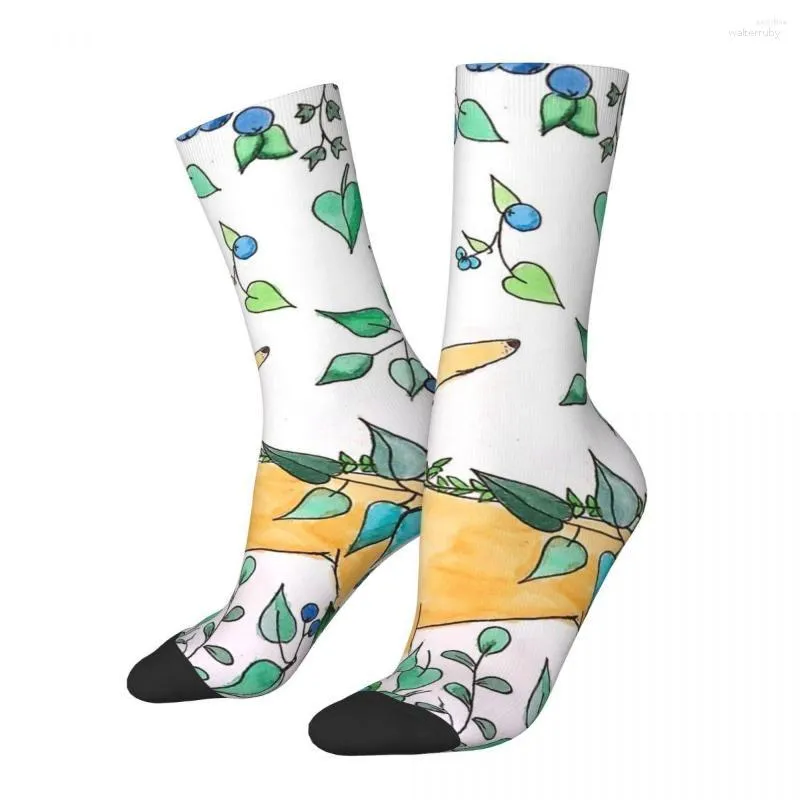 Chaussettes pour hommes Chaussettes drôles pour hommes pour hommes Gratuit The Galgo Aquarelle Hip Hop Vintage Geryhound Dog Happy Quality Motif imprimé garçons