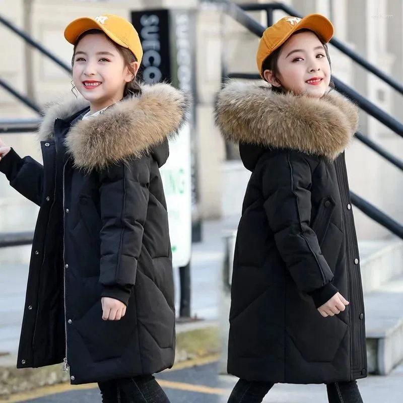 Coat collar jacket deals